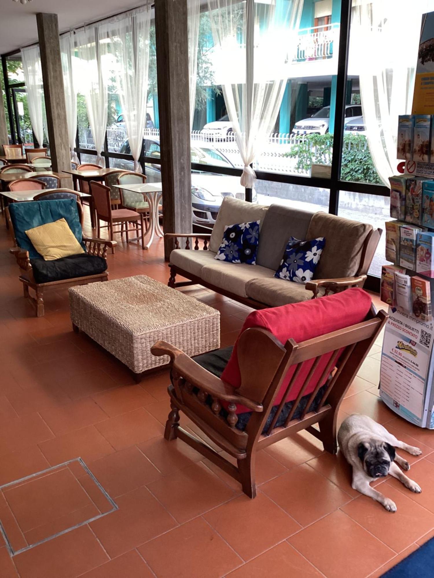 Hotel Villa Alexandra 贝拉里亚-伊贾马里纳 外观 照片